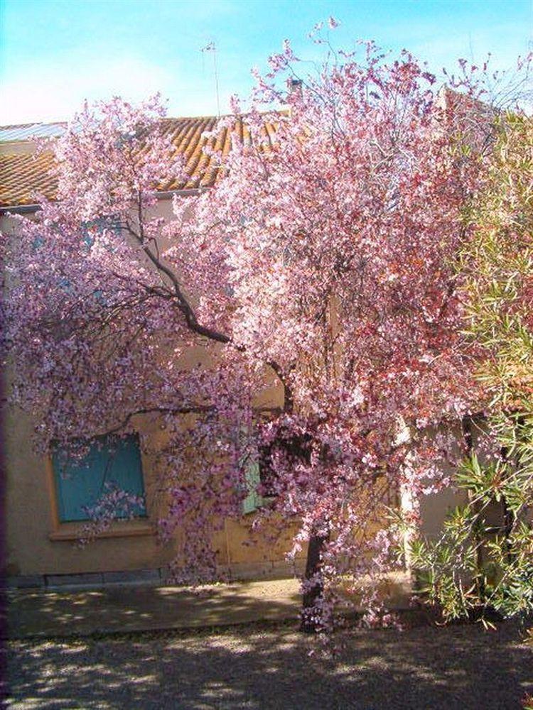 Cit'Hotel Hotel Las Cigalas Villeneuve-lès-Béziers Extérieur photo